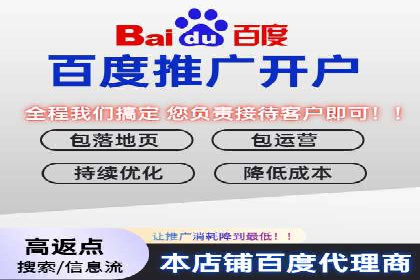 行业领先企业的关键词竞价排名实战案例